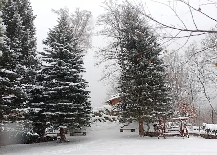 Frühstückspension Osrodek Wypoczynkowy Nad Wodospadem